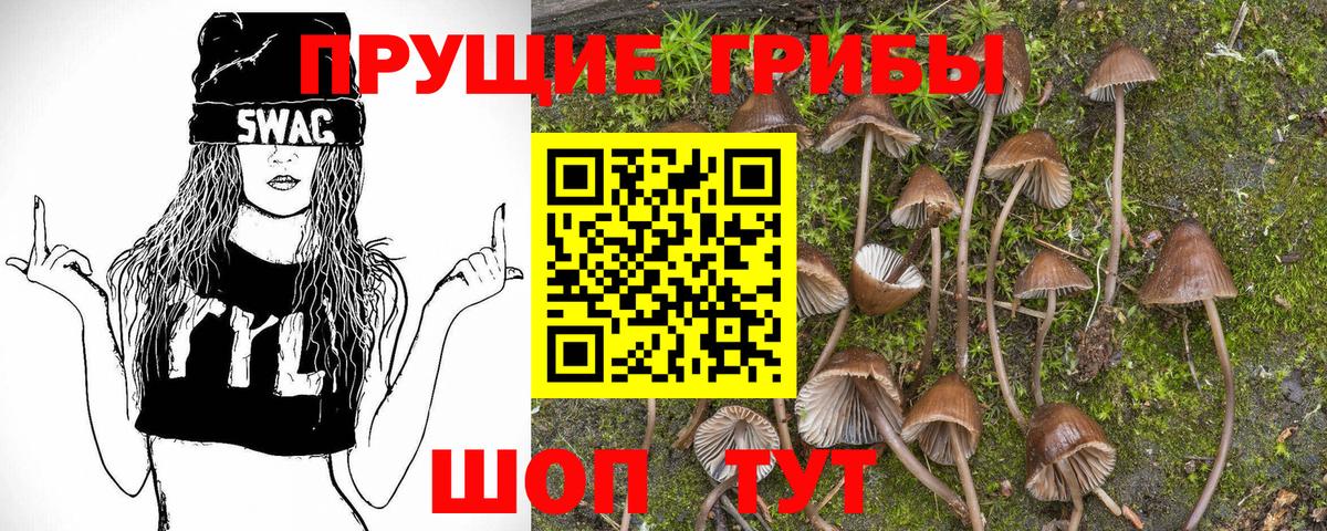Галлюциногенные грибы Magic Shrooms Красноярск