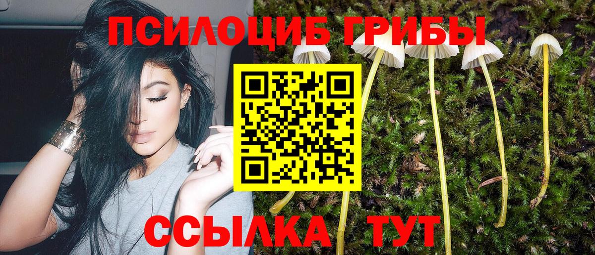 Псилоцибиновые грибы Magic Shrooms  Вход с VPN  Красноярск 